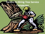 Factors In Hiring Tree Service Companies