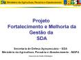 Projeto Fortalecimento e Melhoria da Gest PowerPoint PPT Presentation