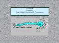 Neural Condition: Synaptic Transmission PowerPoint PPT Presentation