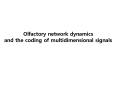 Olfactory network dynamics and the coding of multidimensional signals PowerPoint PPT Presentation