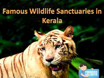 Famous Wildlife Sanctuaries in Kerala