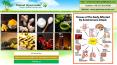 Homemade Remedies for Autoimmune Disease PowerPoint PPT Presentation
