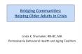 Bridging Communities: Helping Older Adults in Crisis PowerPoint PPT Presentation