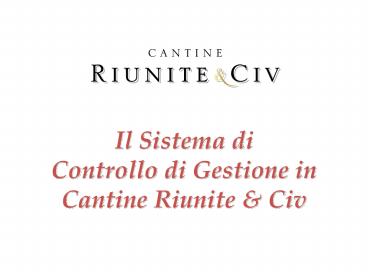 Il Sistema di Controllo di Gestione in Cantine Riunite