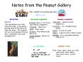 Notes from the Peanut Gallery PowerPoint PPT Presentation