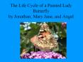 The%20Life%20Cycle%20of%20a%20Painted%20Lady%20Butterfly%20by%20Jonathan,%20Mary%20Jane,%20and%20Angel PowerPoint PPT Presentation