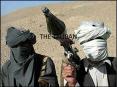 THE TALIBAN PowerPoint PPT Presentation