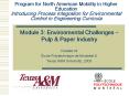 Program for North American Mobility in Higher Education Introducing Process Integration for Environmental Control in Engineering Curricula PowerPoint PPT Presentation
