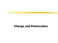 Charge and Polarization PowerPoint PPT Presentation