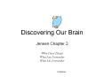 Discovering Our Brain PowerPoint PPT Presentation