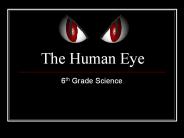 The Human Eye