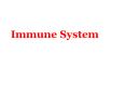 Immune System PowerPoint PPT Presentation
