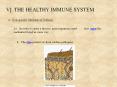 V] THE HEALTHY IMMUNE SYSTEM PowerPoint PPT Presentation