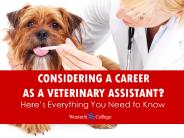 Considering a Career as a Veterinary Assistant?