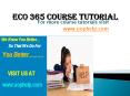 ECO 365 Squared Instruction Uophelp PowerPoint PPT Presentation