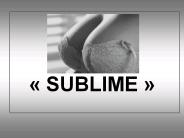 Diapositive 1