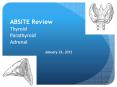 ABSITE Review Thyroid Parathyroid Adrenal PowerPoint PPT Presentation
