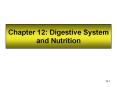 Chapter 12: Digestive System and Nutrition PowerPoint PPT Presentation