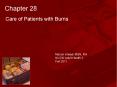 Care of Patients with Burns PowerPoint PPT Presentation