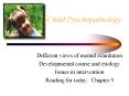 Child Psychopathology PowerPoint PPT Presentation