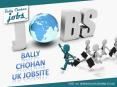 How to Find a Job on Bally Chohan UK Jobsite Fast PowerPoint PPT Presentation