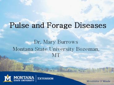 Pulse and Forage Diseases