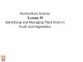 Horticulture Science Lesson 39 Identifying and Managing Plant Pests in Fruits and Vegetables PowerPoint PPT Presentation