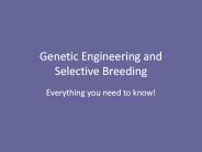 Genetic Engineering and Selective Breeding
