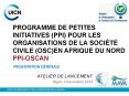 PROGRAMME DE PETITES INITIATIVES (PPI) POUR LES ORGANISATIONS DE LA SOCI PowerPoint PPT Presentation