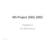 MS Project 2002-2003
