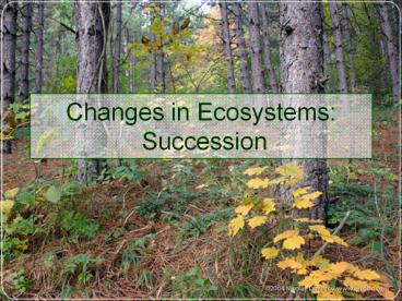 Changes in Ecosystems: Succession