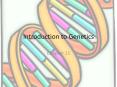 Introduction to Genetics PowerPoint PPT Presentation