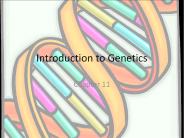 Introduction to Genetics