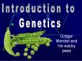 Gregor Mendel and his wacky peas PowerPoint PPT Presentation