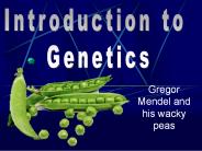 Gregor Mendel and his wacky peas