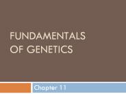 Fundamentals of Genetics