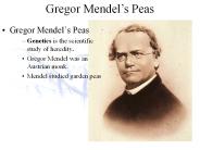 Gregor Mendel