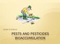 PESTS AND PESTICIDES bioaccumulation PowerPoint PPT Presentation