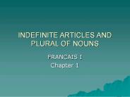 INDEFINITE ARTICLES AND PLURAL OF NOUNS