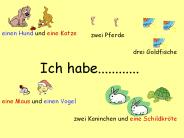 Ich habe............