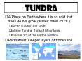 Tundra PowerPoint PPT Presentation