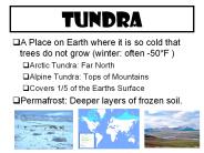 Tundra