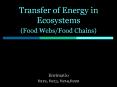 Transfer of Energy in Ecosystems (Food Webs/Food Chains) PowerPoint PPT Presentation