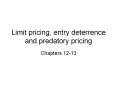Limit pricing, entry deterrence and predatory pricing PowerPoint PPT Presentation