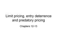Limit pricing, entry deterrence and predatory pricing