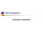 Fermentation