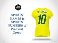 SPORTS NAMES & SPORTS NUMBERS of Pro Print Group PowerPoint PPT Presentation