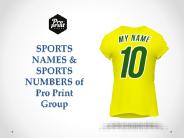 SPORTS NAMES & SPORTS NUMBERS of Pro Print Group
