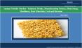 Instant Noodles Market - Investment Sector Guide PowerPoint PPT Presentation