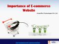 Importance of E-commerce Website PowerPoint PPT Presentation